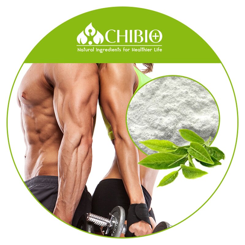 Theacrine Powder - Manufacturer - 99% Kucha Extract for Fat Burning Energy Supplement