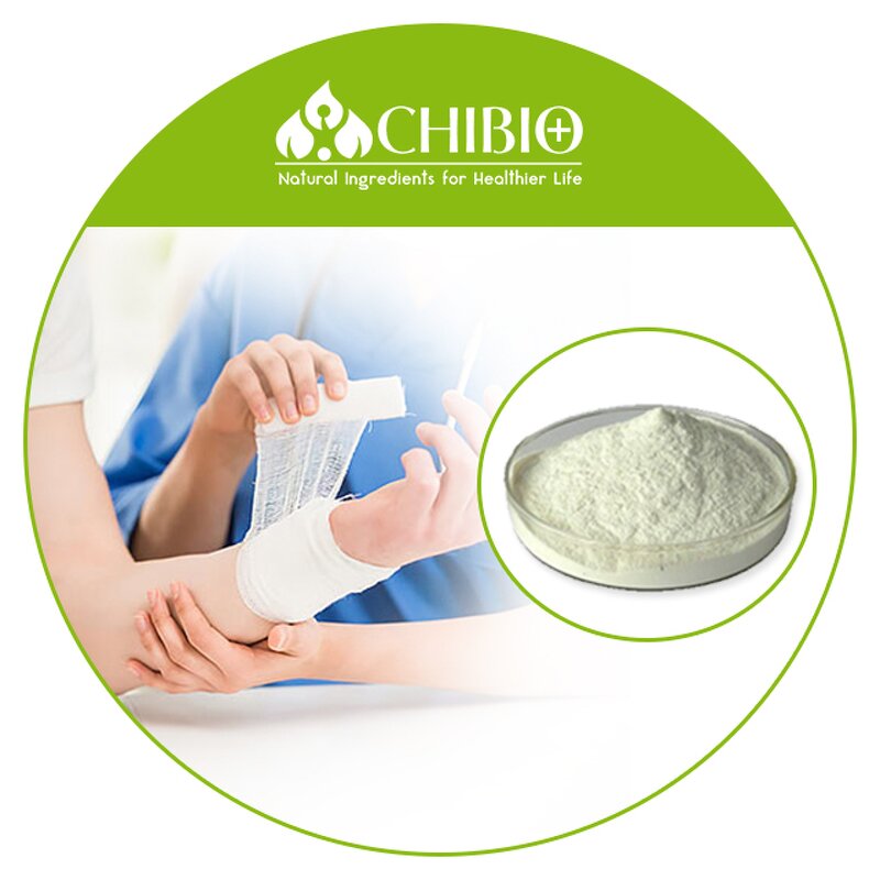 Chitosan Powder - Manufacturer - Hemostatic Dressing Fungal Vegetarian Bulk Supply