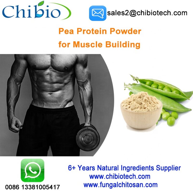Pea Protein Isolate - Factory - 80% Pure Organic Bulk for Muscle Gain Raw Material