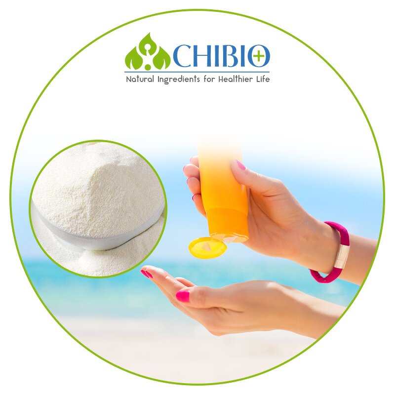 Ferulic Acid Powder - Manufacturer - Top Grade Vegetal Sourced for Skin Health