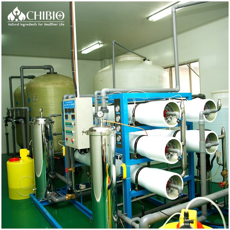 Hemp Seed Extract - Manufacturer - 50% Hemp Protein Wholesale Price Raw Material