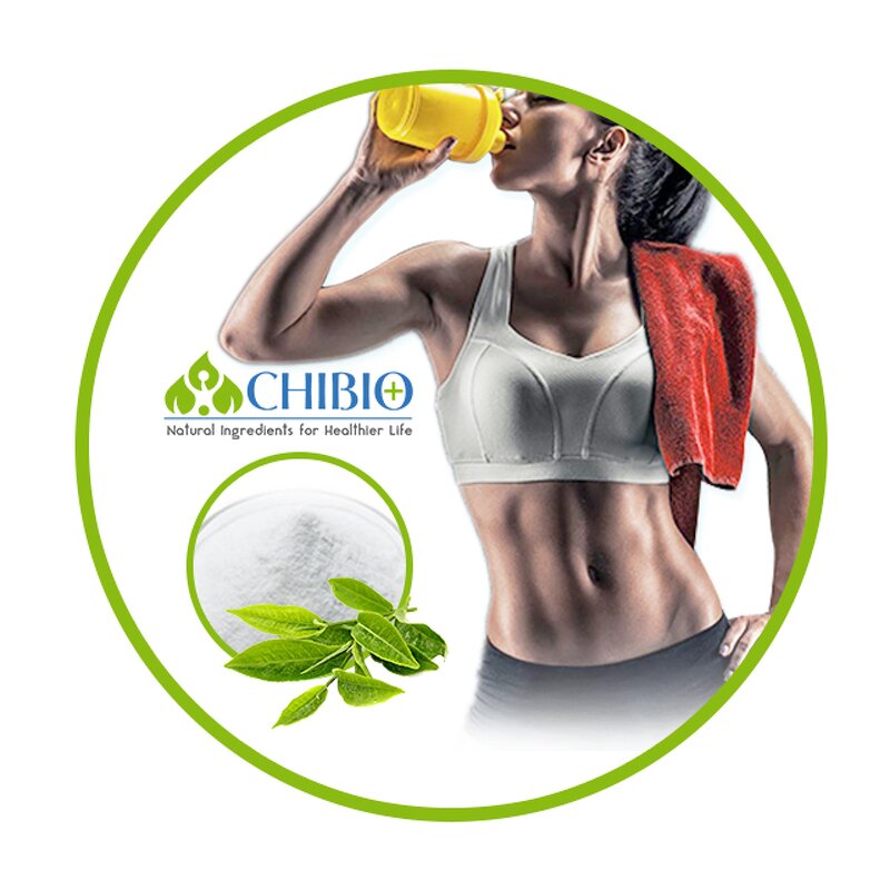 Theacrine Powder - Manufacturer - Pure Kucha Tea Extract for Sports Health Body Strength