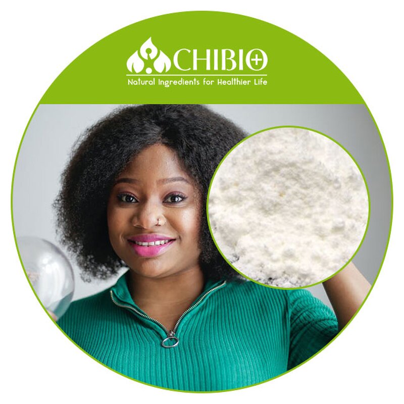 Alpha-GPC Powder - Manufacturer - for Body Health Staying in Shape Bulk Supply