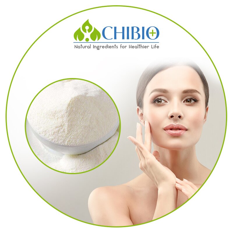 Ferulic Acid Powder - Manufacturer - Top Grade Vegetal Sourced for Skin Health