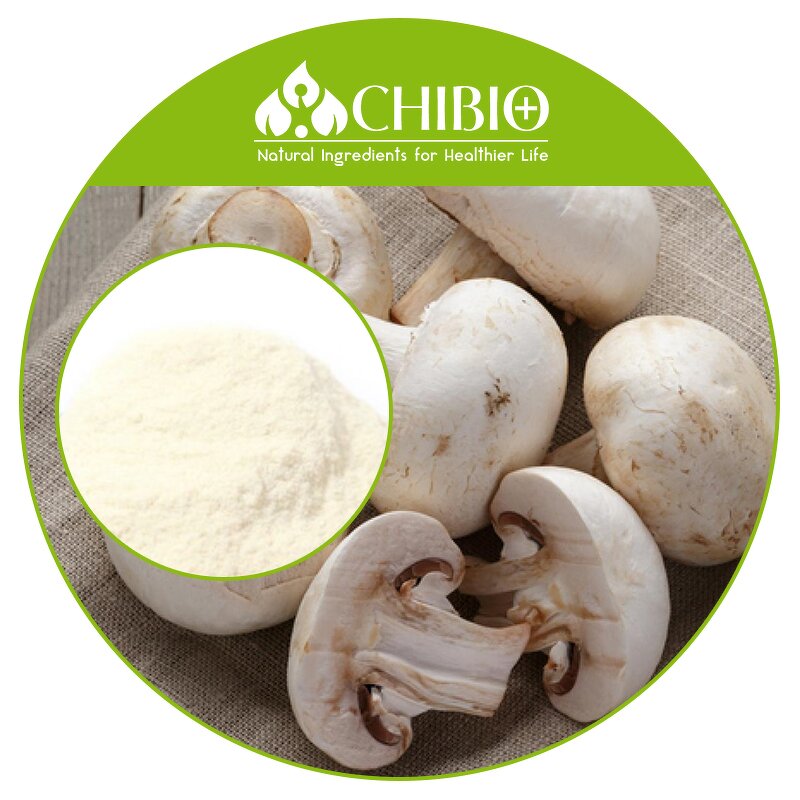 Mushroom Chitosan Powder - Manufacturer - Acid Soluble for Food Supplement Applications