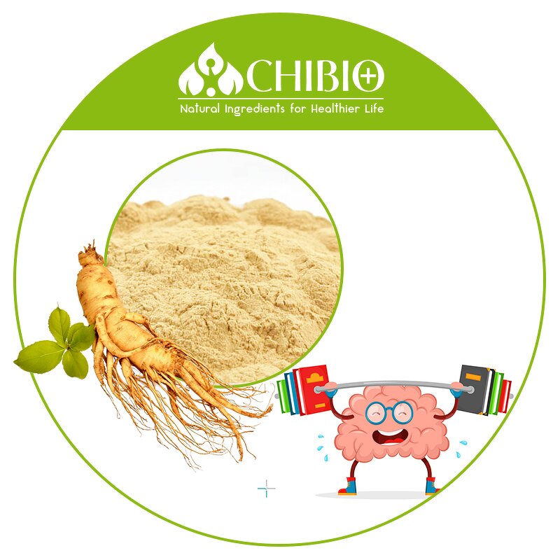Ginseng Extract Powder - Manufacturer - Natural for Health Protecting Skin Hair Care