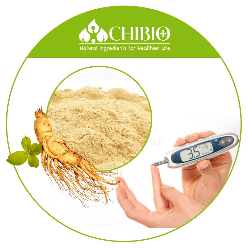 Ginseng Extract Powder - Manufacturer - Natural for Health Protecting Skin Hair Care