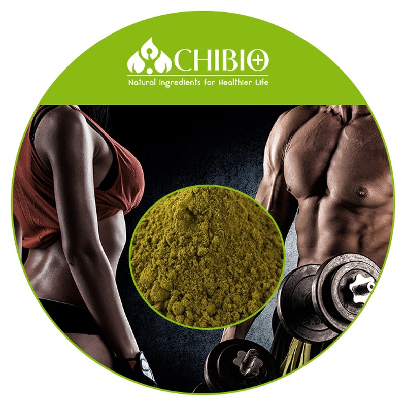 Hemp Protein - Manufacturer - Natural Source Raw Material for Food Supplement