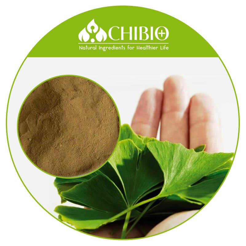 Ginkgo Biloba Extract - Manufacturer - Natural Sourced for Physical Health Care
