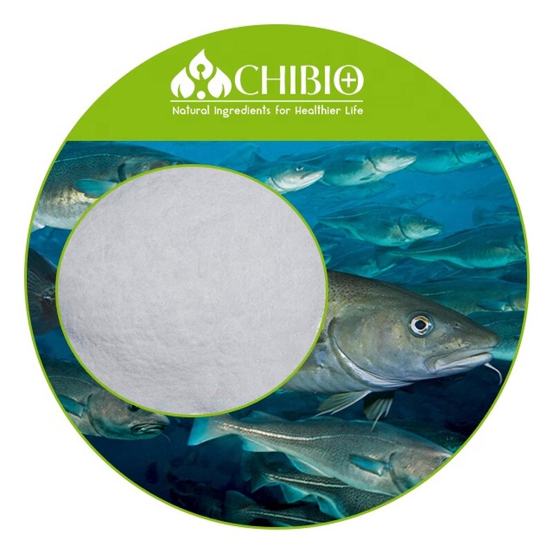 Fish Collagen Peptides - Manufacturer - Tilapia Fish Skin Marine Hydrolyzed Collagen