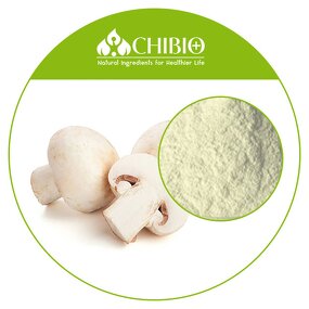 Mushroom Chitosan Powder - Manufacturer - Kosher Ingredients Raw Material Supplier