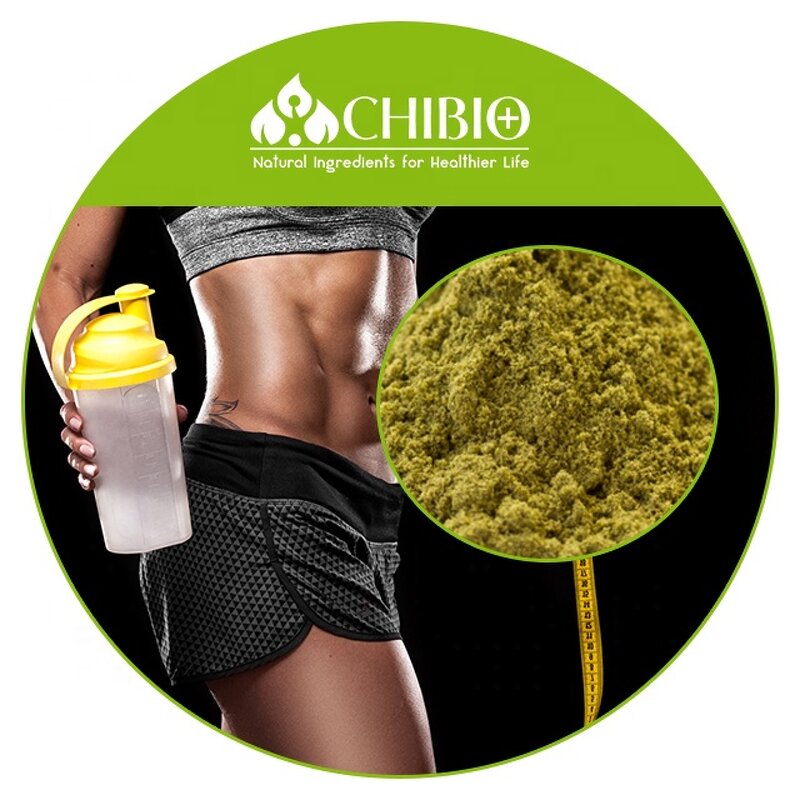Hemp Protein Powder - Manufacturer - Pure Dietary Fiber for Energy & Muscle Building
