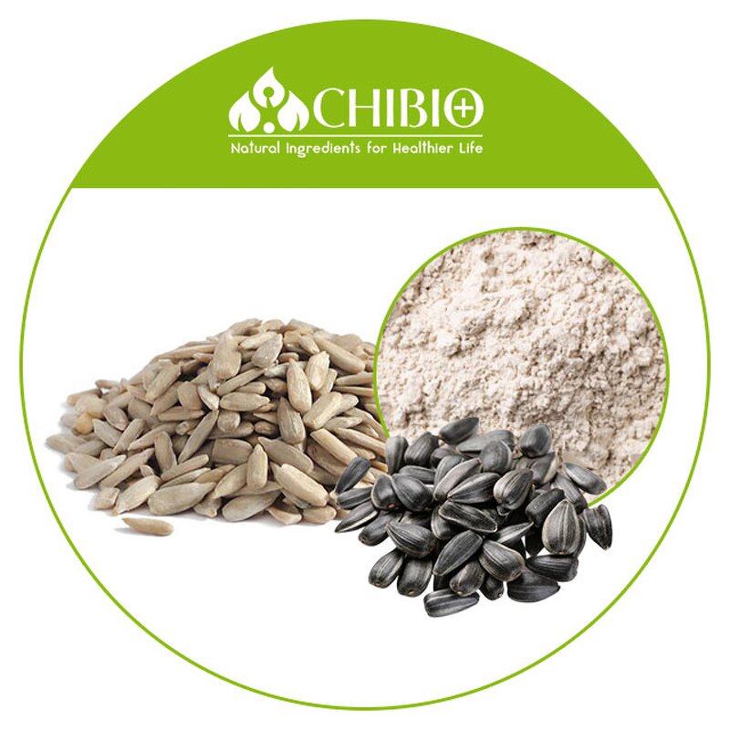 Sunflower Seed Protein - Manufacturer - Organic Low Fat Protein Fusion Powder