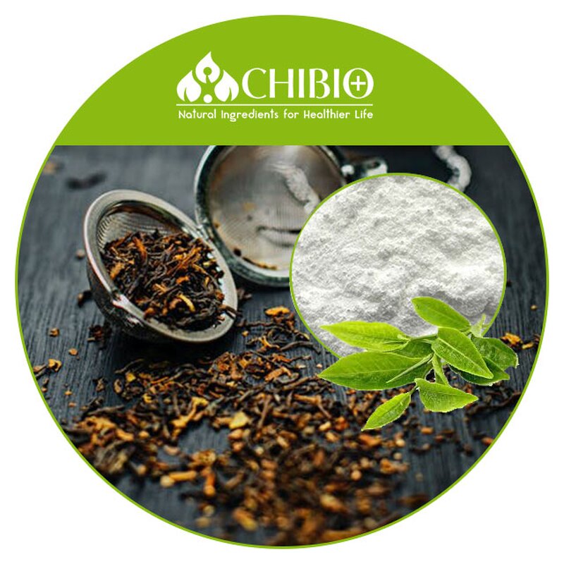 Theacrine Powder - Manufacturer - 99% Kucha Extract for Fat Burning Energy Supplement