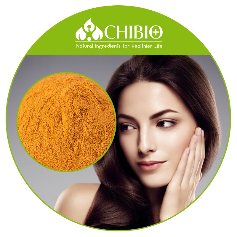 Coenzyme Q10 Powder - Manufacturer - 90% Pure for Cosmetic Personal Care Raw Material