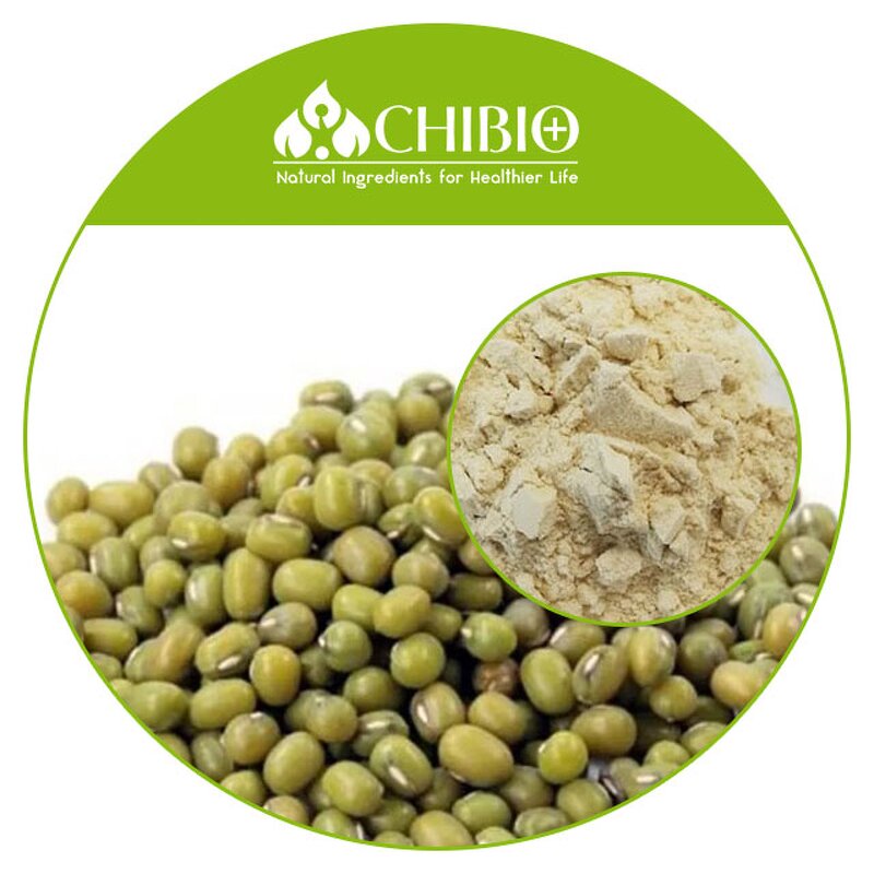 Mung Bean Protein Powder - Manufacturer - Organic Vegan High Nutritional Value Bulk Powder