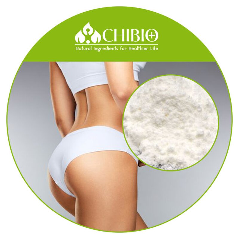 Alpha-GPC Powder - Manufacturer - for Body Health Staying in Shape Bulk Supply