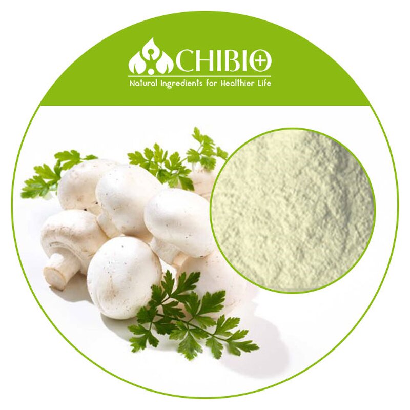 Mushroom Chitosan Powder - Manufacturer - Plant Source for Horticultural Use CAS 9012-76-4