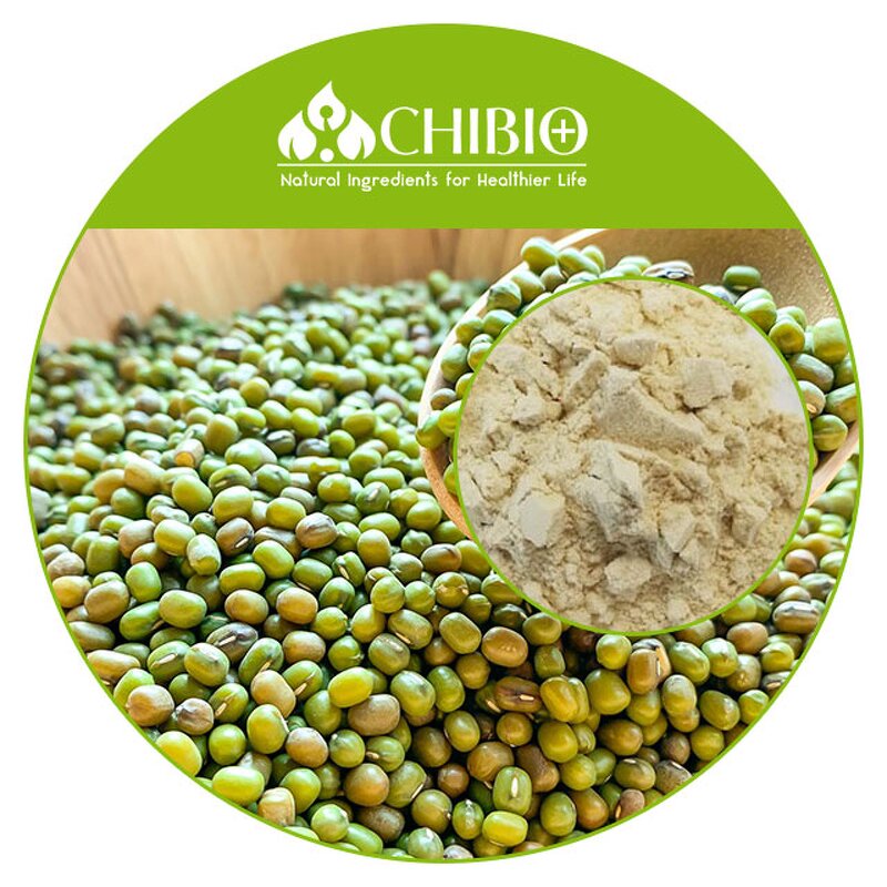 Mung Bean Protein Powder - Manufacturer - Organic Vegan High Nutritional Value Bulk Powder