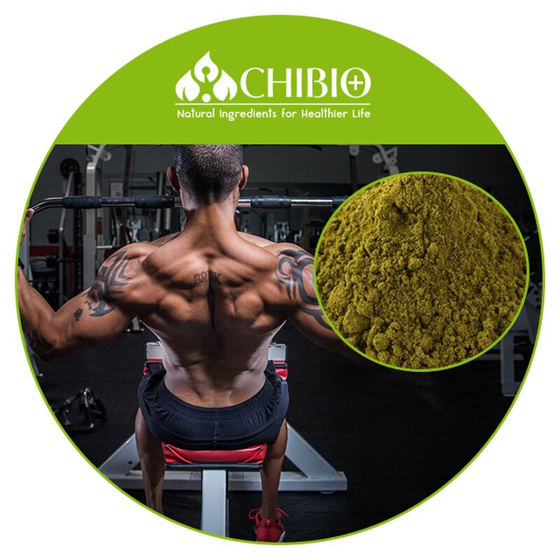 Hemp Protein - Manufacturer - Natural Source Raw Material for Food Supplement