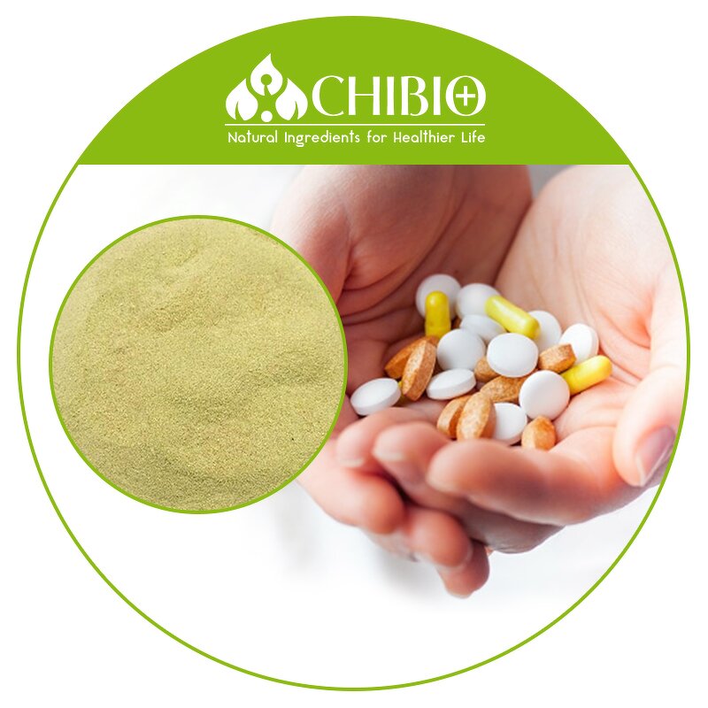 Sodium Alginate Powder - Manufacturer - High Viscosity for Cardiovascular Health