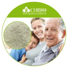 DHA Powder - Manufacturer - Fish or Algae Oil Omega 3 Powder Bulk Supply