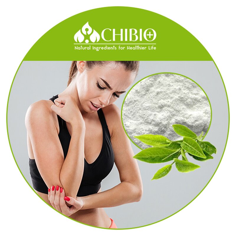 Theacrine Powder - Manufacturer - 99% Kucha Extract for Fat Burning Energy Supplement