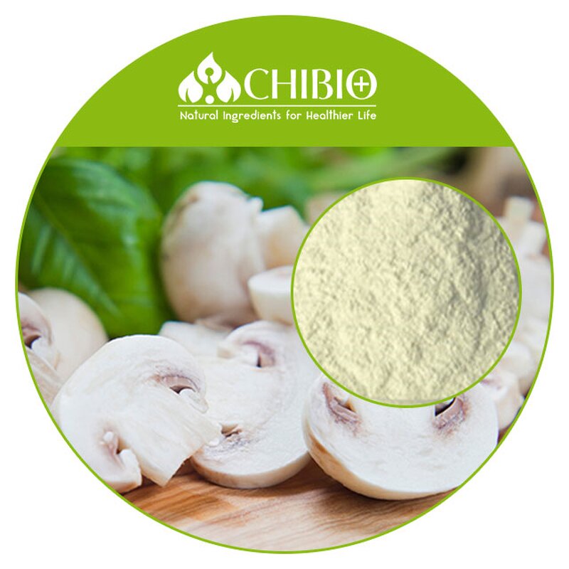 Mushroom Chitosan Powder - Manufacturer - Plant Source for Horticultural Use CAS 9012-76-4