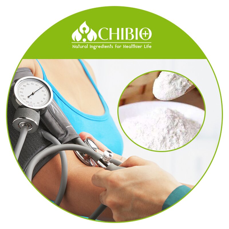 L-arginine Powder - Manufacturer - Top Grade Sports Ingredients for Energy & Slimming