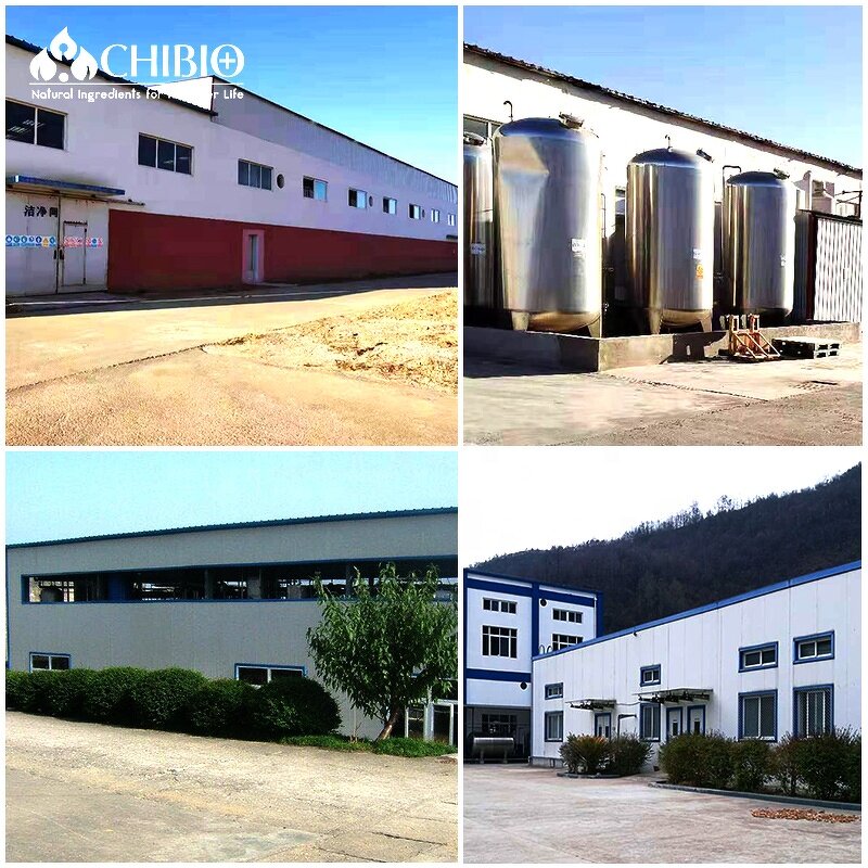 Genipin Powder - Manufacturer - Top Grade Cross Linker 98% for Heart Health