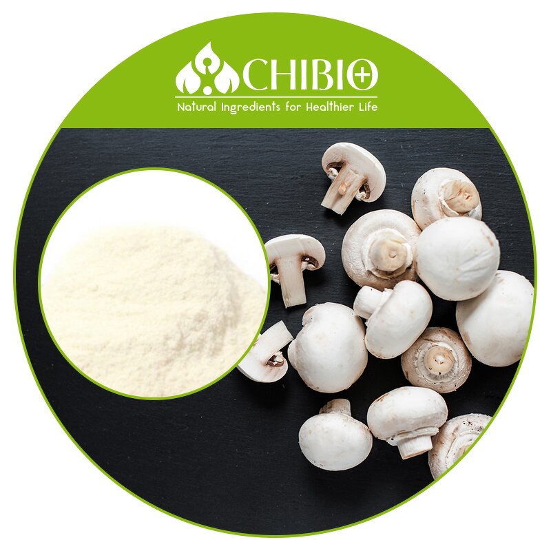Mushroom Chitosan Powder - Manufacturer - Acid Soluble for Food Supplement Applications