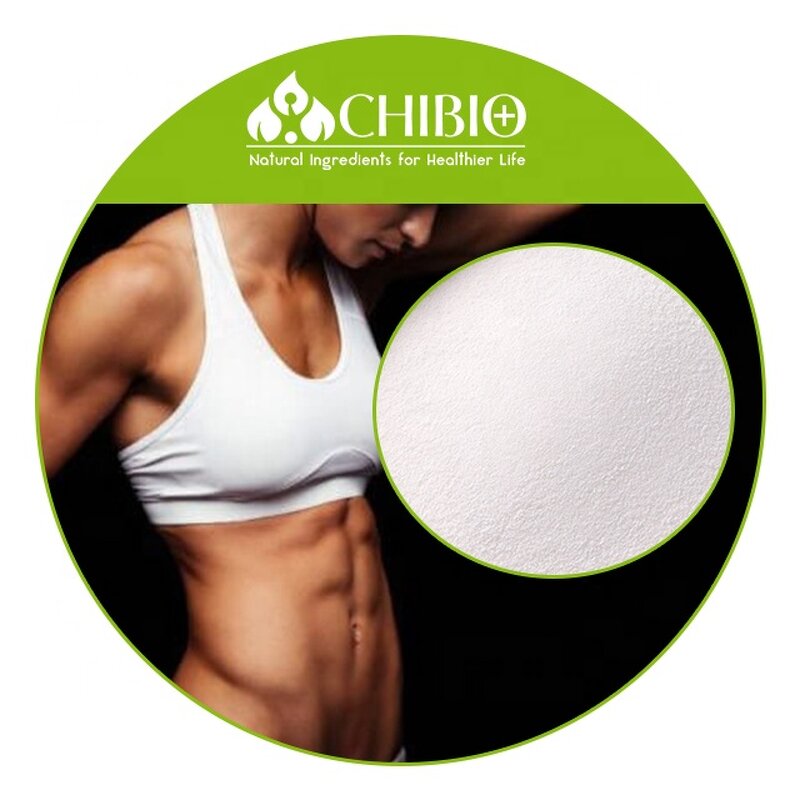 Bovine Collagen Powder - Manufacturer - Kosher Hydrolyzed for Joint & Muscle Care