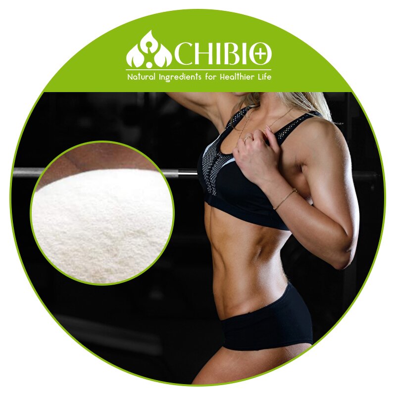 Konjac Glucomannan - Manufacturer - Top Grade Root Powder for Body Health Dietary Food