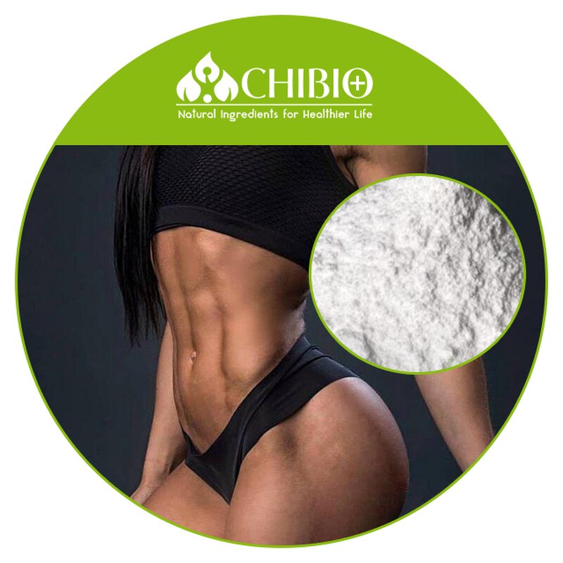 HMB Powder - Manufacturer - Pure Hydroxymethyl Butyrate for Muscle Building