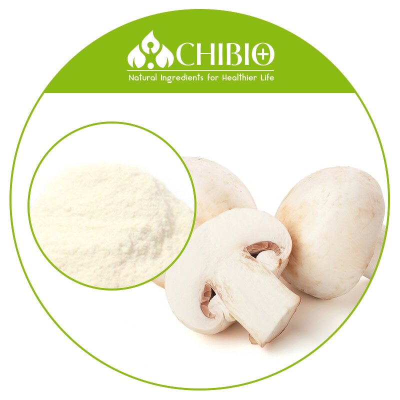 Chitosan Hydrochloride - Manufacturer - Water Soluble Mushroom Plant Based Powder