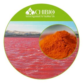Dunaliella Salina Extract - Factory - 30% Beta Carotene Powder Oil for Food