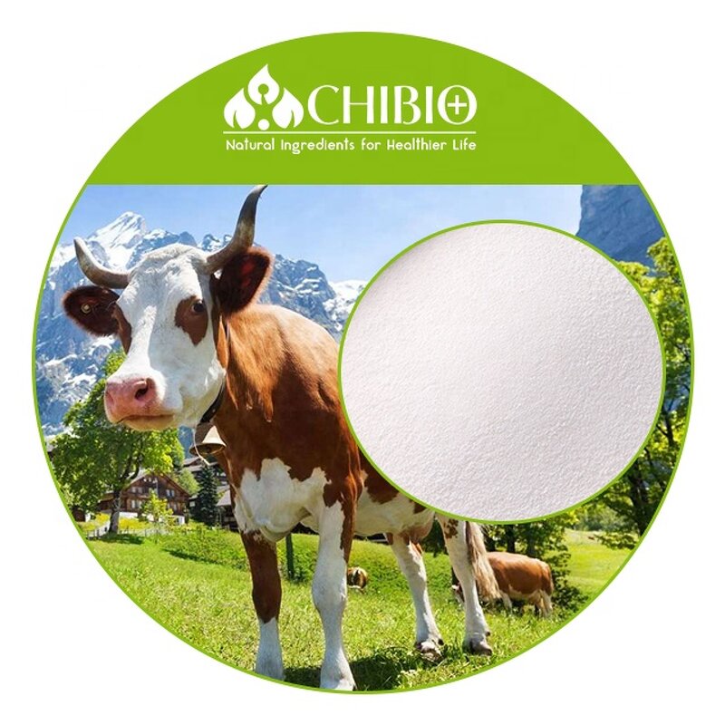 Bovine Collagen Powder - Manufacturer - Kosher Hydrolyzed for Joint & Muscle Care