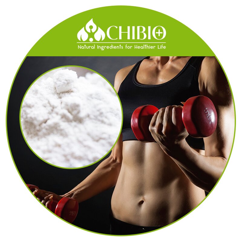 MSM Powder - Manufacturer - 98.0%-102.0% Methylsulfonylmethane Muscle Protection