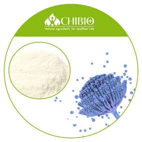 Aspergillus Niger Chitosan - Manufacturer - Acid Soluble Fungal Chito Raw Material