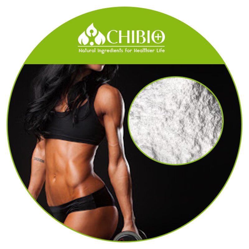 HMB Powder - Manufacturer - Pure Hydroxymethyl Butyrate for Muscle Building