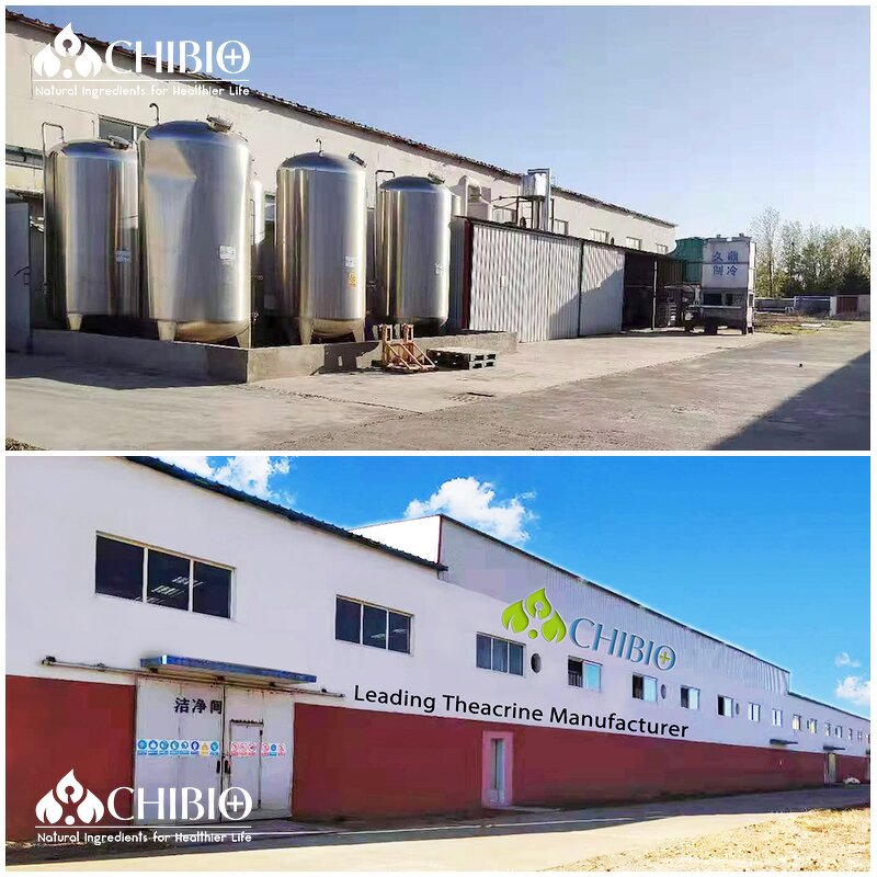 Bovine Collagen Powder - Manufacturer - Kosher Hydrolyzed for Joint & Muscle Care