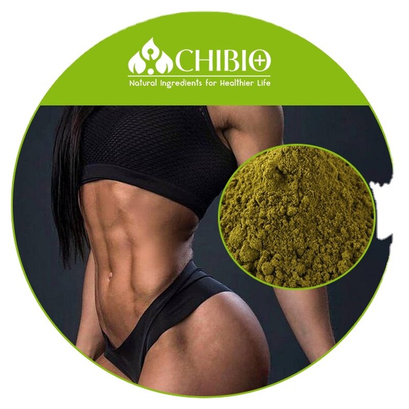 Hemp Protein Powder - Manufacturer - Pure Dietary Fiber for Energy & Muscle Building