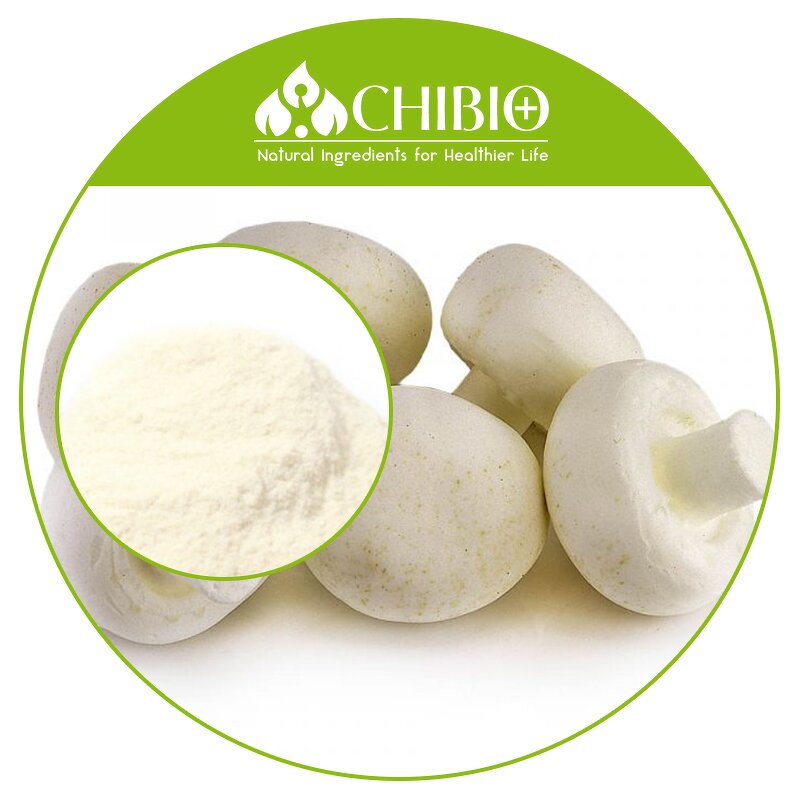 Chitosan Hydrochloride - Manufacturer - Water Soluble Mushroom Plant Based Powder