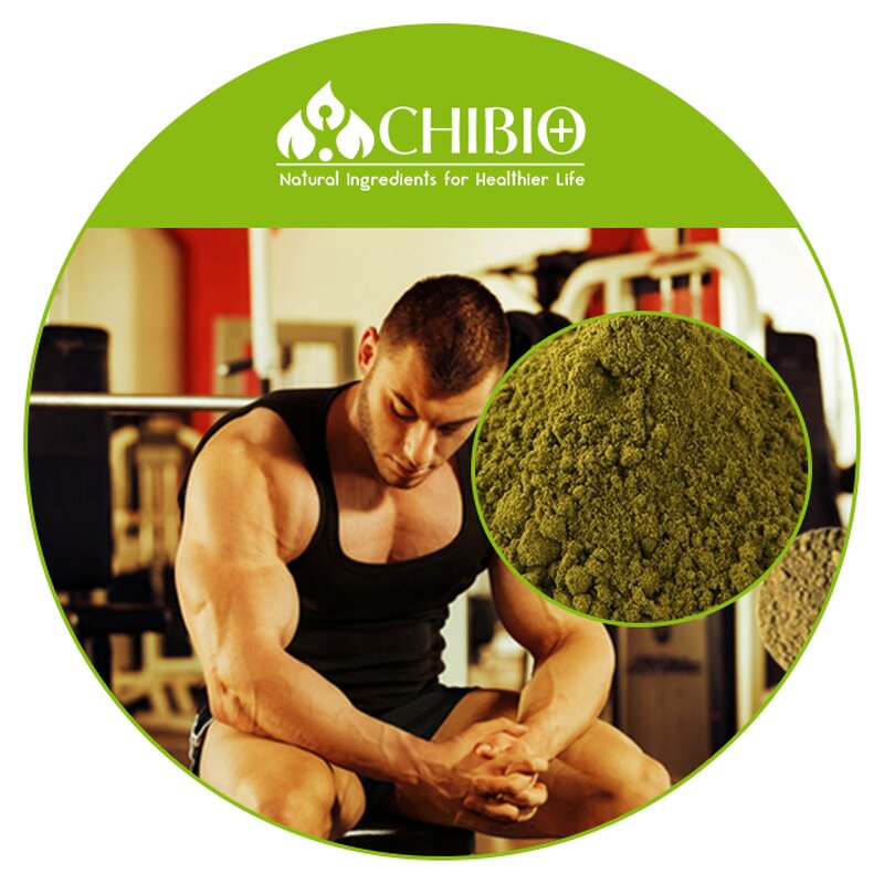 Hemp Protein - Manufacturer - Natural Source Raw Material for Food Supplement