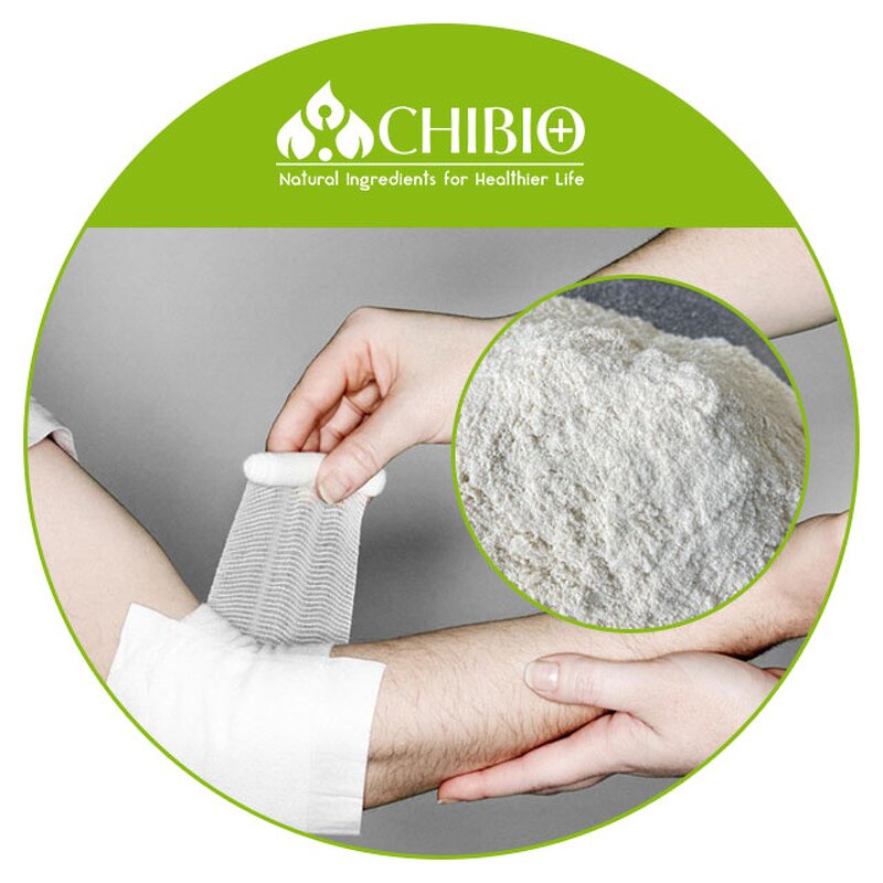 Carboxymethyl Chitosan - Manufacturer - ISO Certified Water Soluble Hemostatic Agent