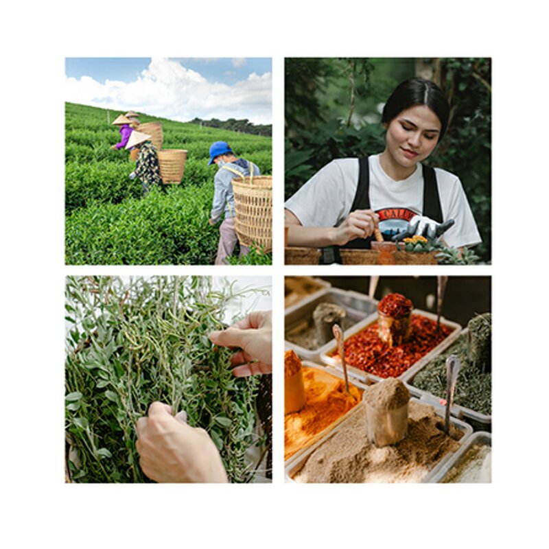 Chitosan Hydrochloride - Manufacturer - Fungal Water Soluble for Face Treatment Skincare