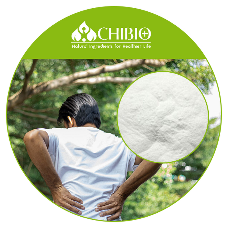 Chondroitin Sulfate - Factory - High Quality for Joint Health Bulk Supply