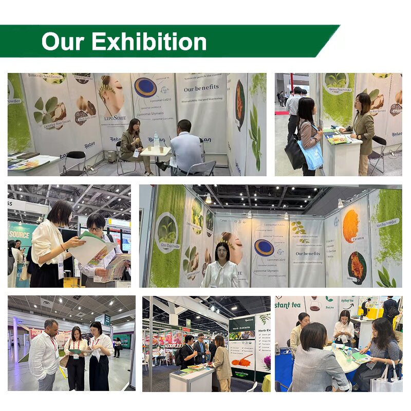 Chamomile Extract Powder - Manufacturer - 50% 98% Citrus Apigenin Celery Seed Extract Bulk