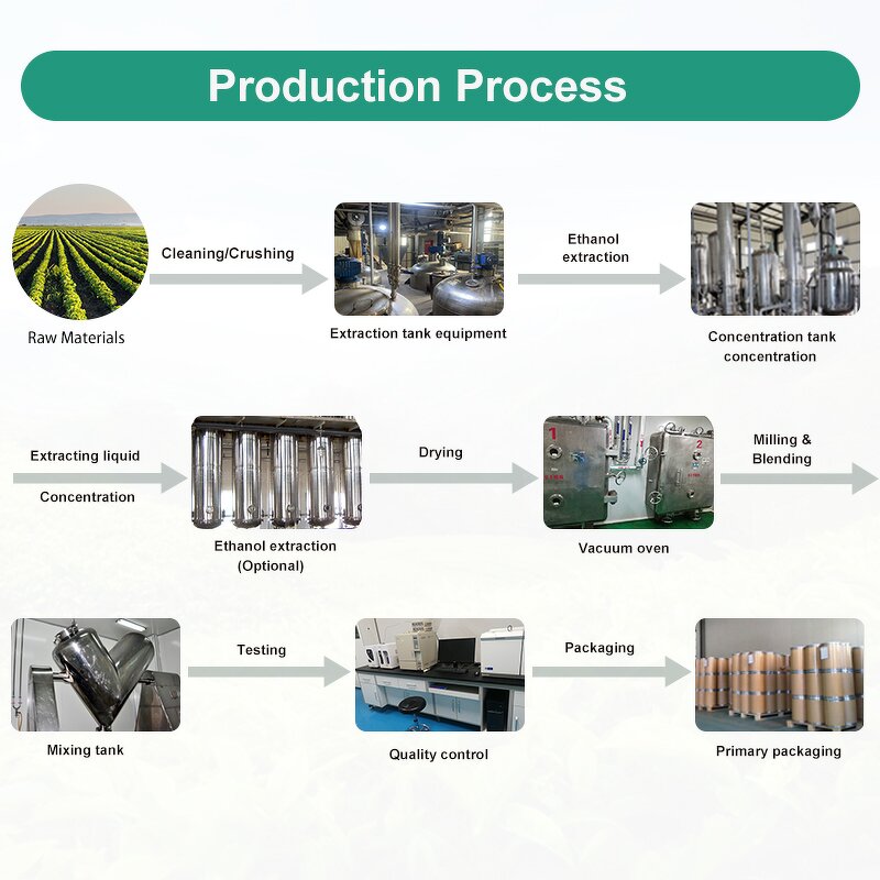 Pueraria Root Extract - Manufacturer - 40% HPLC Isoflavone Kudzu Flower Root Flavone Powder