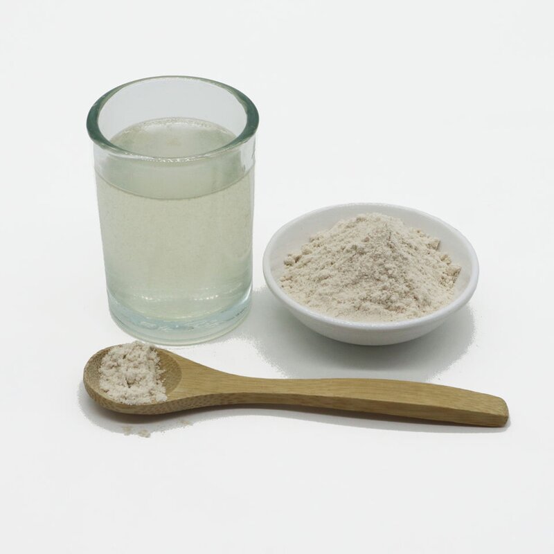 Avocado Powder Manufacturer - Fruit Food Grade Natural